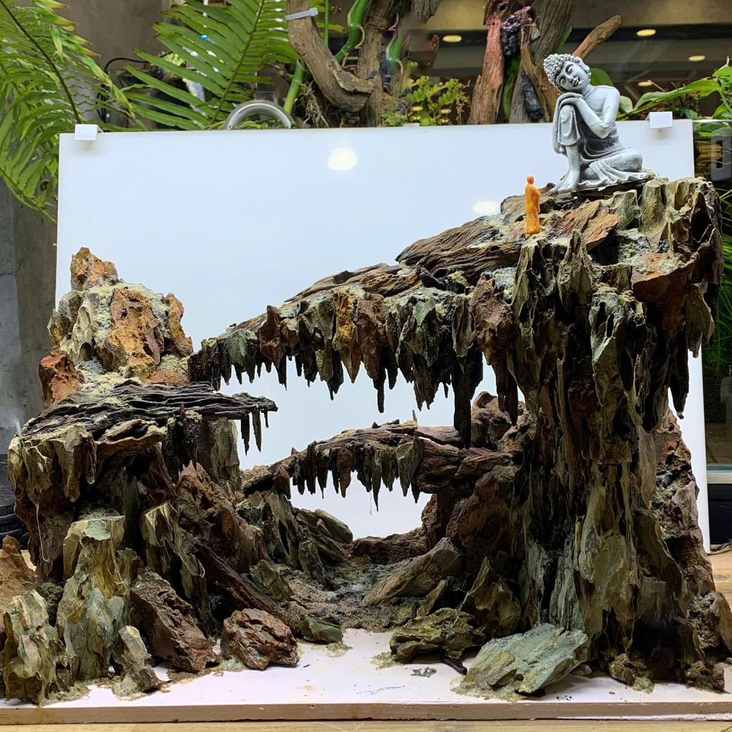 Natural Aquascape Decor | Perfect for Aquascaping