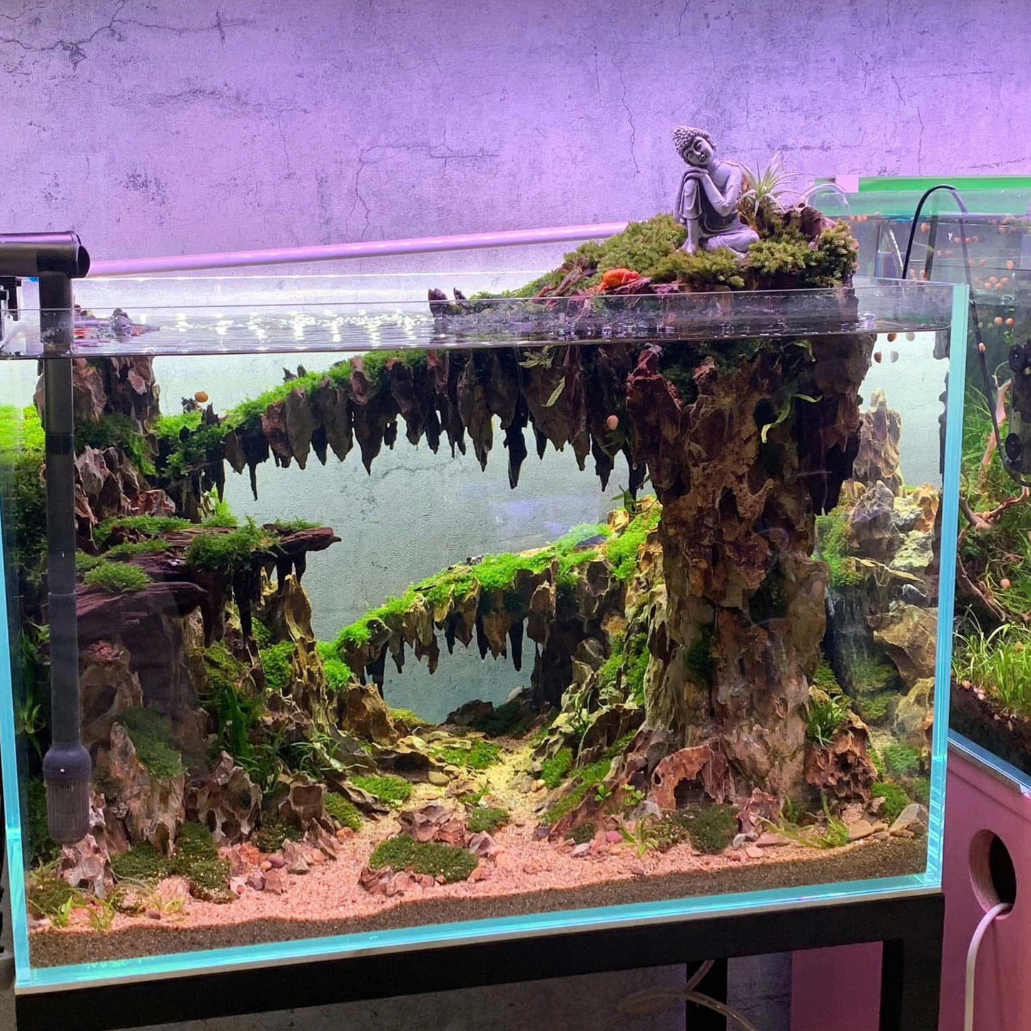 Natural Aquascape Decor | Perfect for Aquascaping