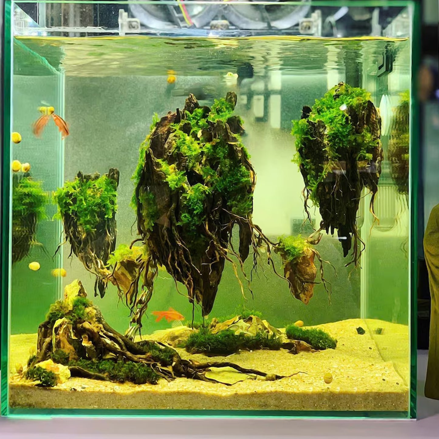 Custom Aquarium Decorations | Personalized Fish Tank Accessories