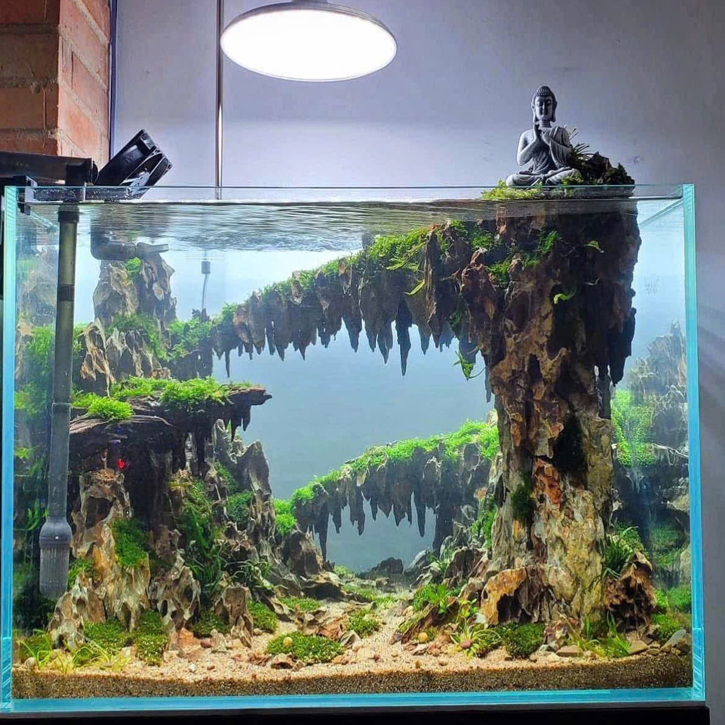 Natural Aquascape Decor | Perfect for Aquascaping