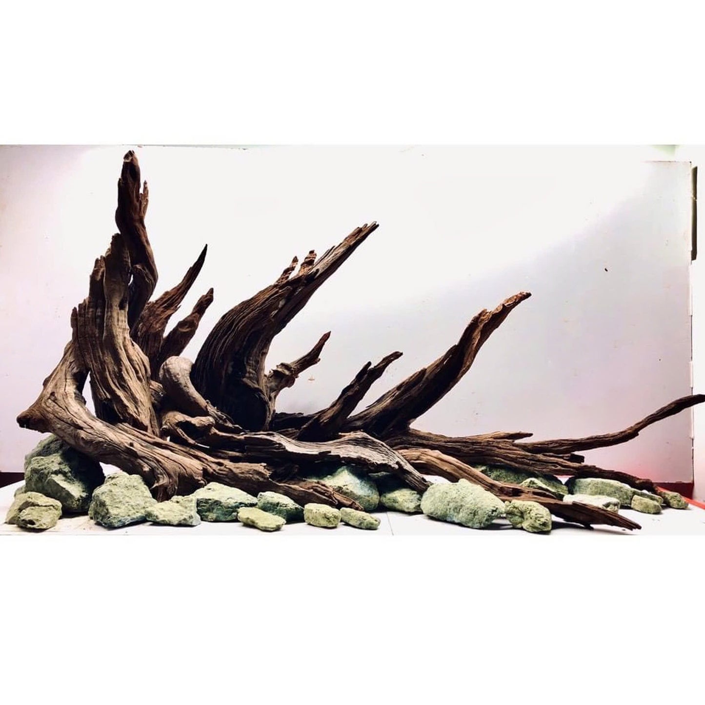 Best Aquarium Decorations for Aquascaping | Unique Fish Tank Ornaments