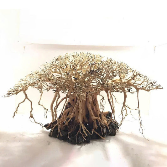 Bonsai Driftwood Aquascape – Aquarium decoration