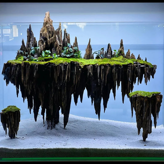 Aquascape Aquarium, Fish tank decorations, Aquascape unique with flying island