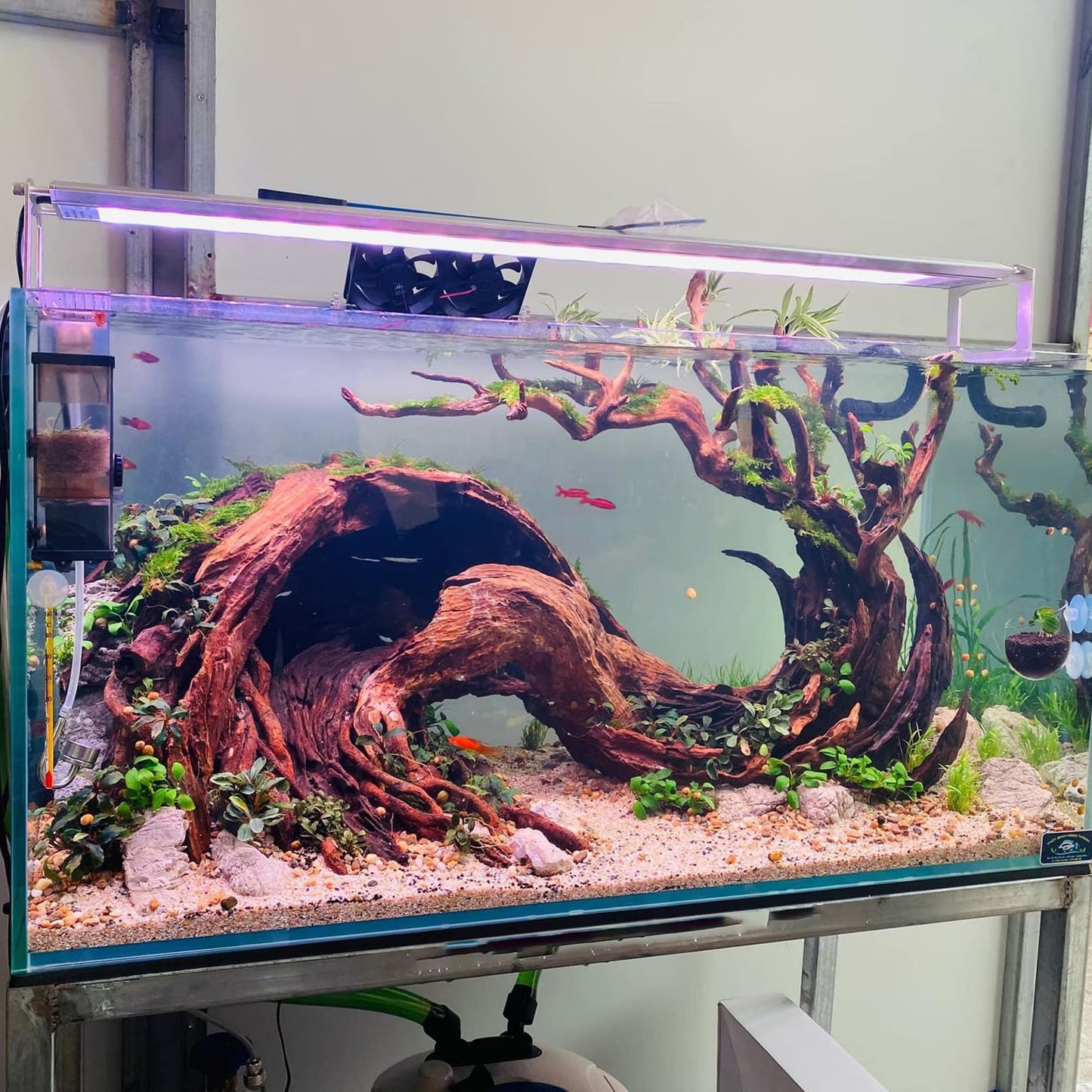 High-Quality Handmade Aquarium Decorations | Safe for Freshwater Fish