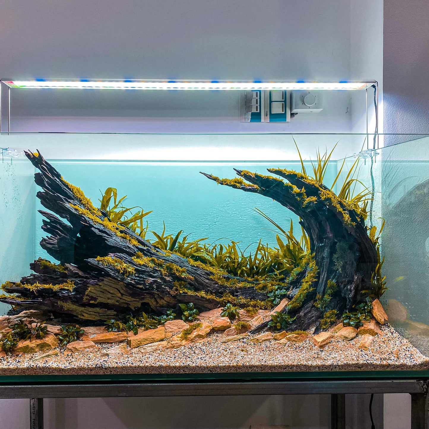 Best Aquarium Decorations for Aquascaping | Unique Fish Tank Ornaments