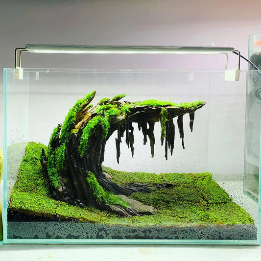 Eco-Friendly Fish Tank Decorations | Handmade & Safe for Aquatic Life