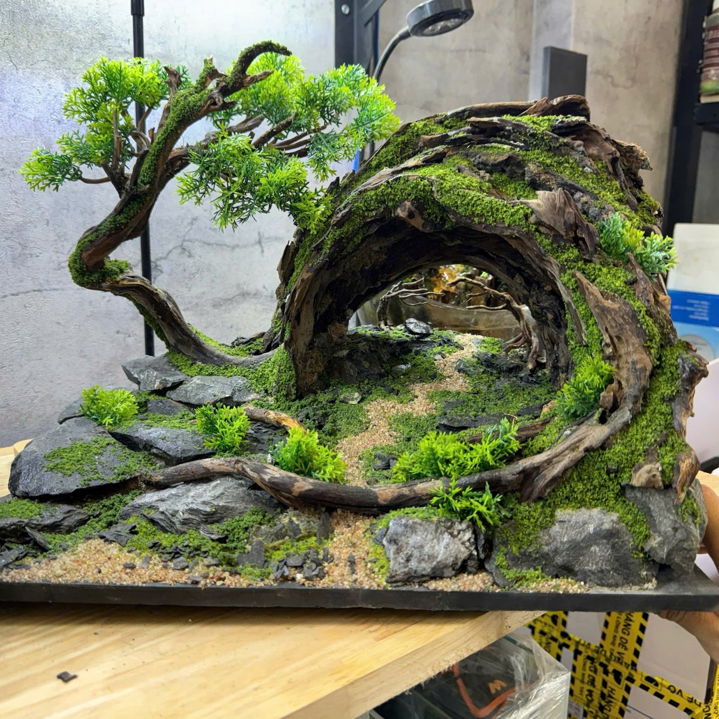 Natural Driftwood Aquarium Decor | Perfect for Aquascaping