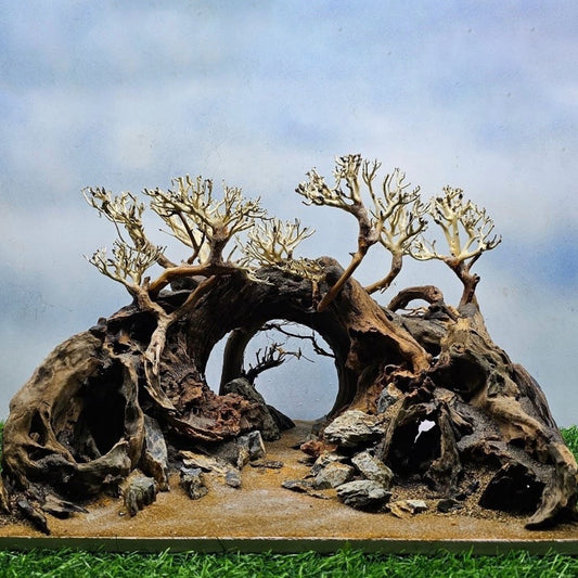 Aquascape Nature – Natural Aquarium Wood for Planted Tanks & Shrimp Tanks