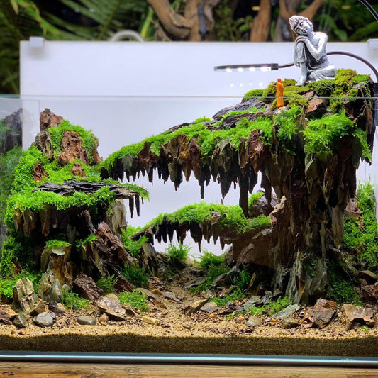 Natural Aquascape Decor | Perfect for Aquascaping