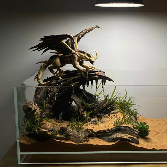 Aquascape design- Tailored Designs for Your Aquarium