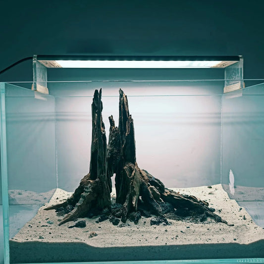 Best Aquarium Decorations for Aquascaping | Unique Fish Tank Ornaments