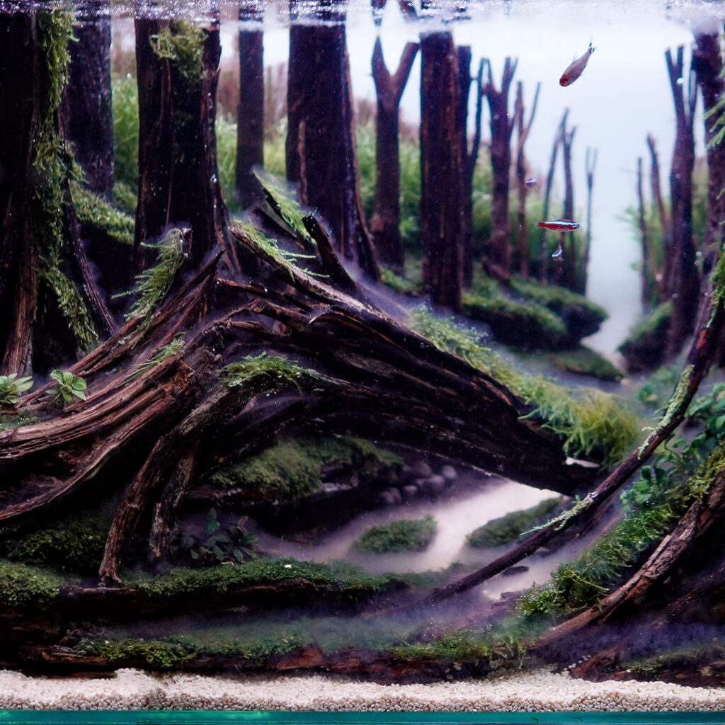 aquascaing