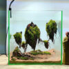 aquascape