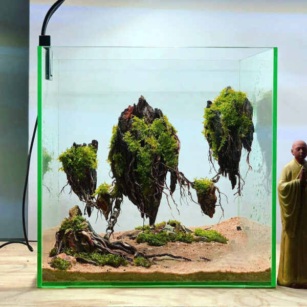 aquascape