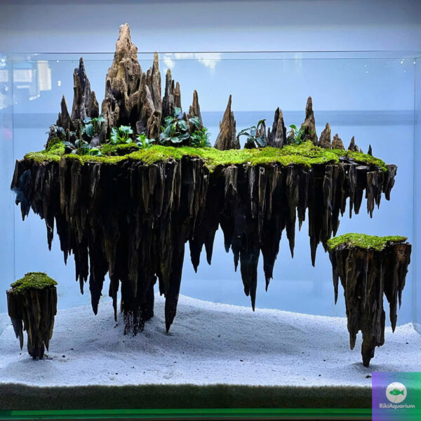 aquascaping