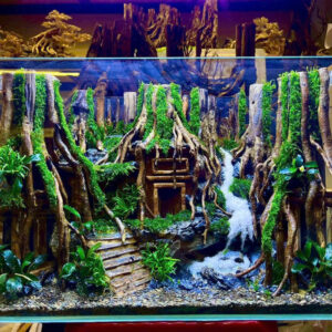 aquarium decoration