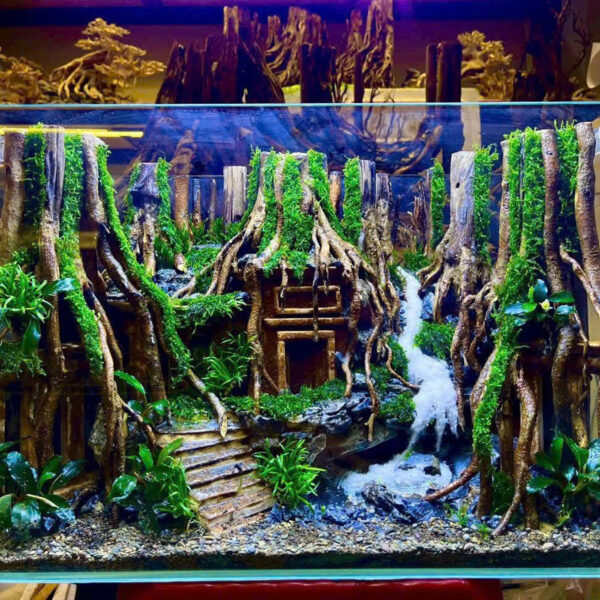 aquarium decoration