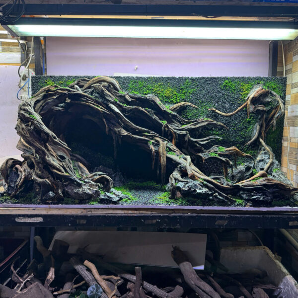 Aquascaping