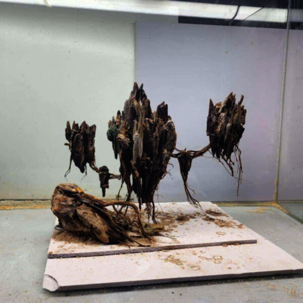 Island 2 aquascape - Image 2