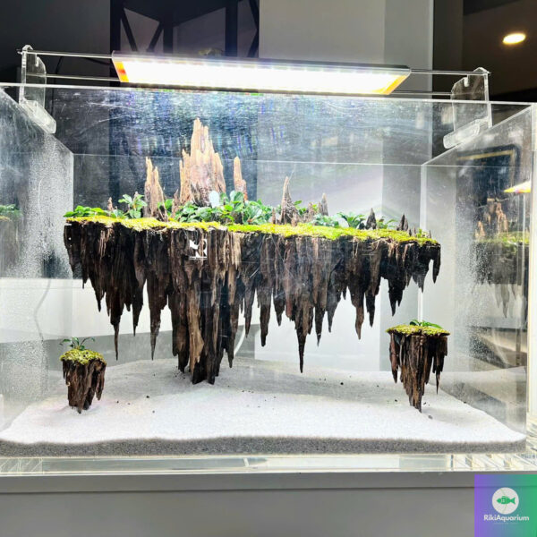 Island aquascape - Image 6