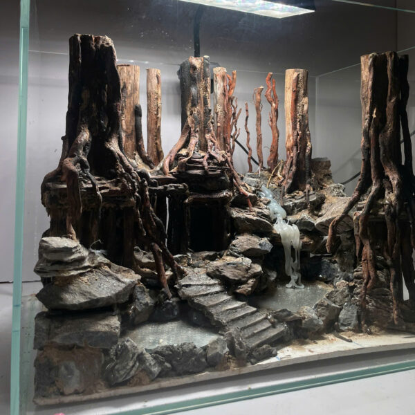 Aquascape Jungle - Image 8