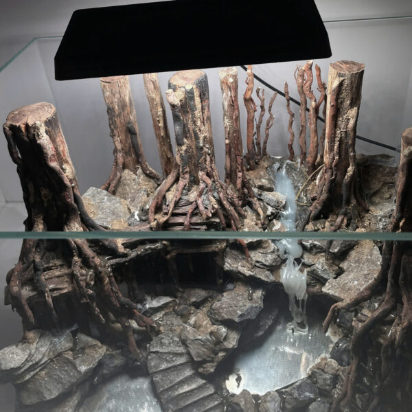 Aquascape Jungle - Image 9