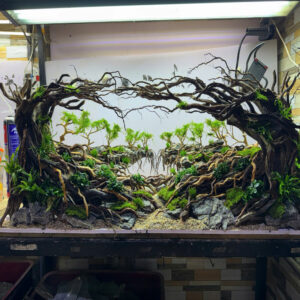 Jungle Aquascape Aquarium