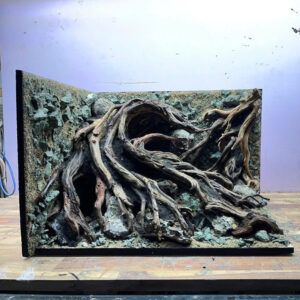 Unique 3Sideview Aquascape Aquarium