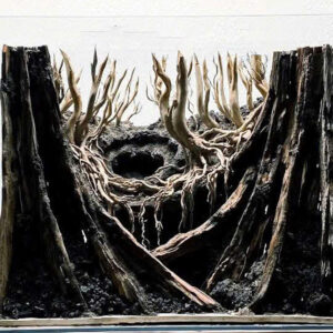 Jungle aquascape,Forest quascape