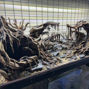 Jungle Hardscape Aquascape Aquarium sacred forest
