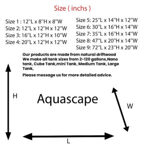 Aquascape size