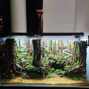 aquairum,vivarium