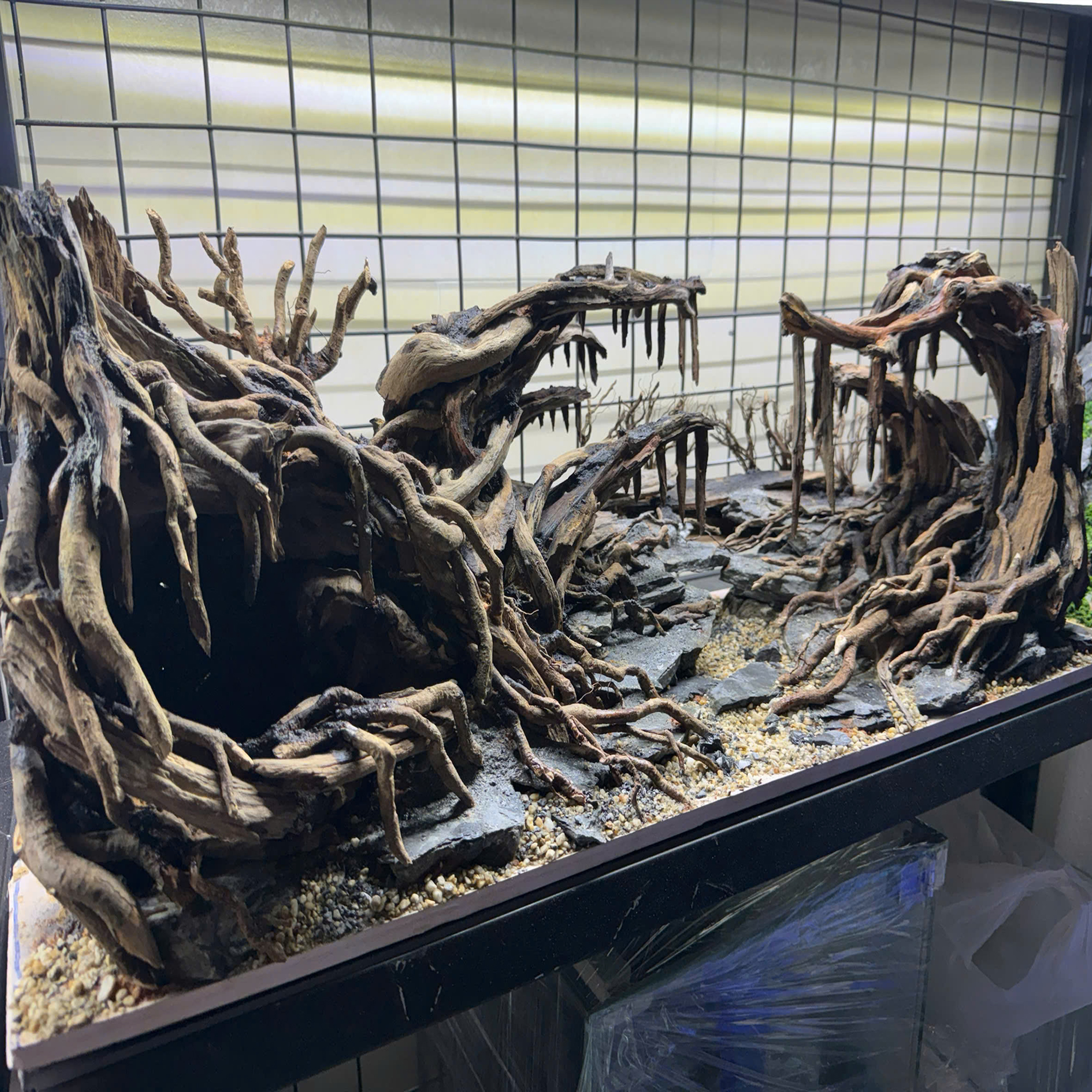 Jungle Aquascape Aquarium sacred forest - Image 9