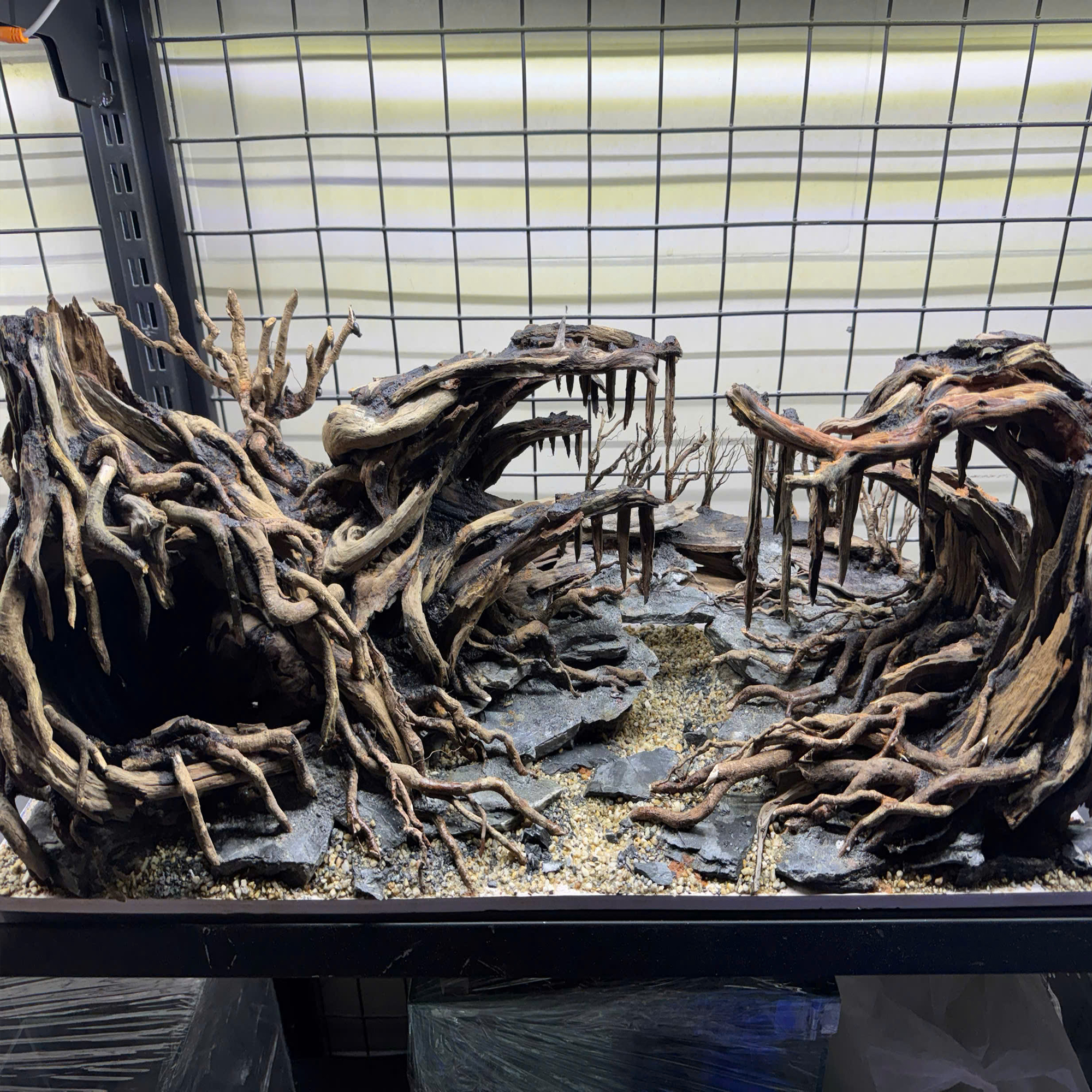 Jungle Aquascape Aquarium sacred forest - Image 3