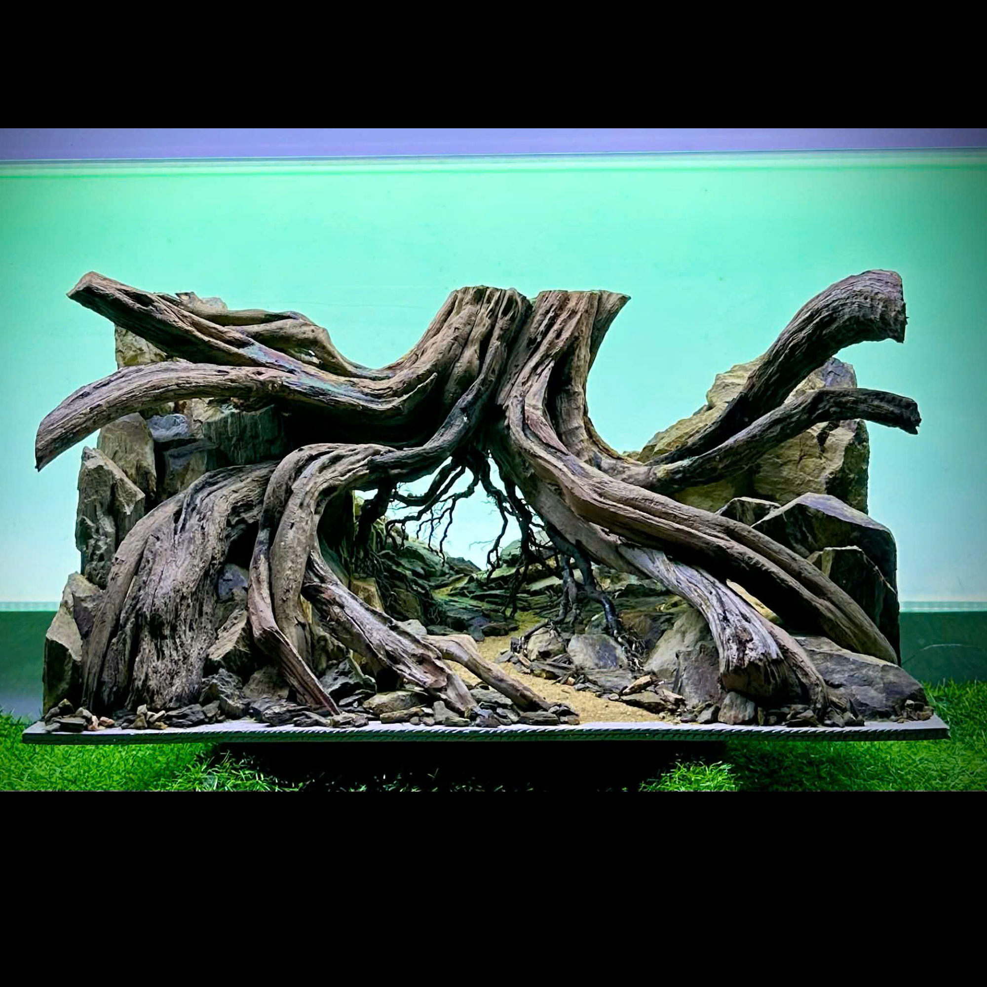 Forest Hardscape Aquarium, Aquarium decoration