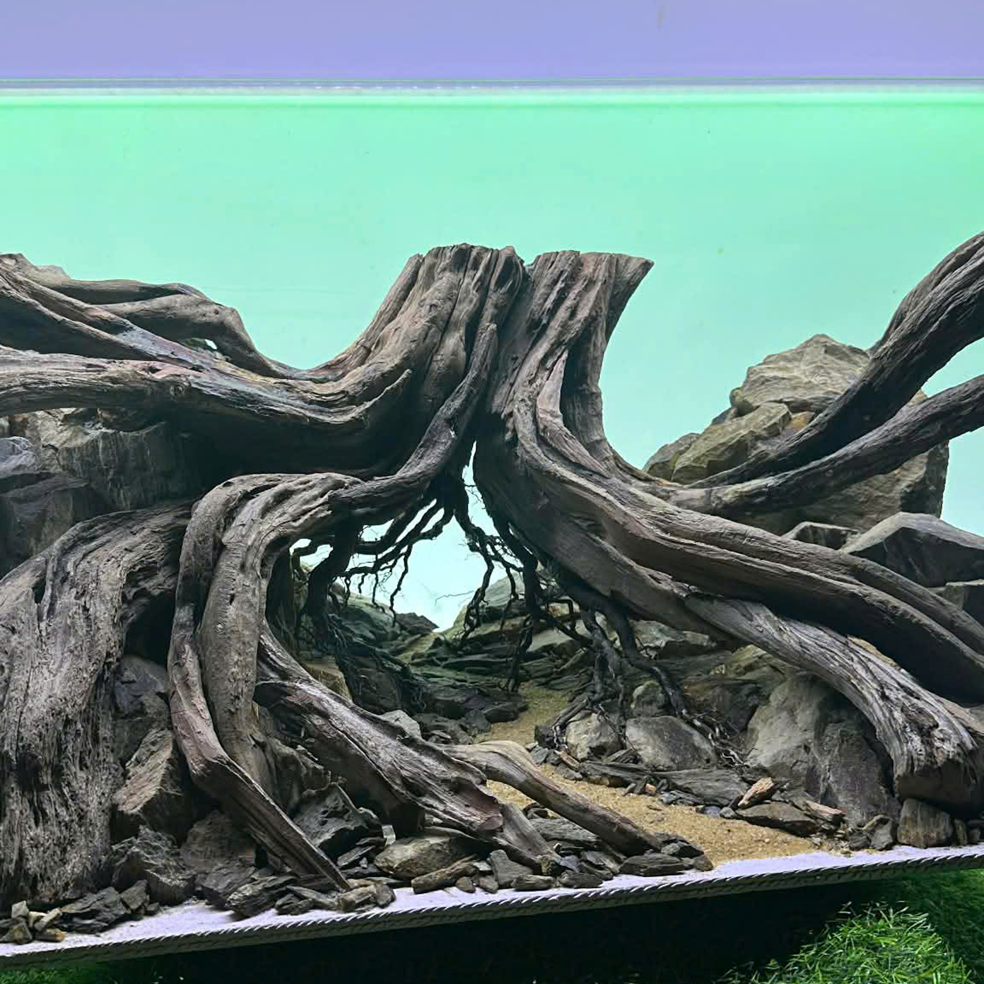 Forest Hardscape Aquarium, Aquarium decoration - Image 6