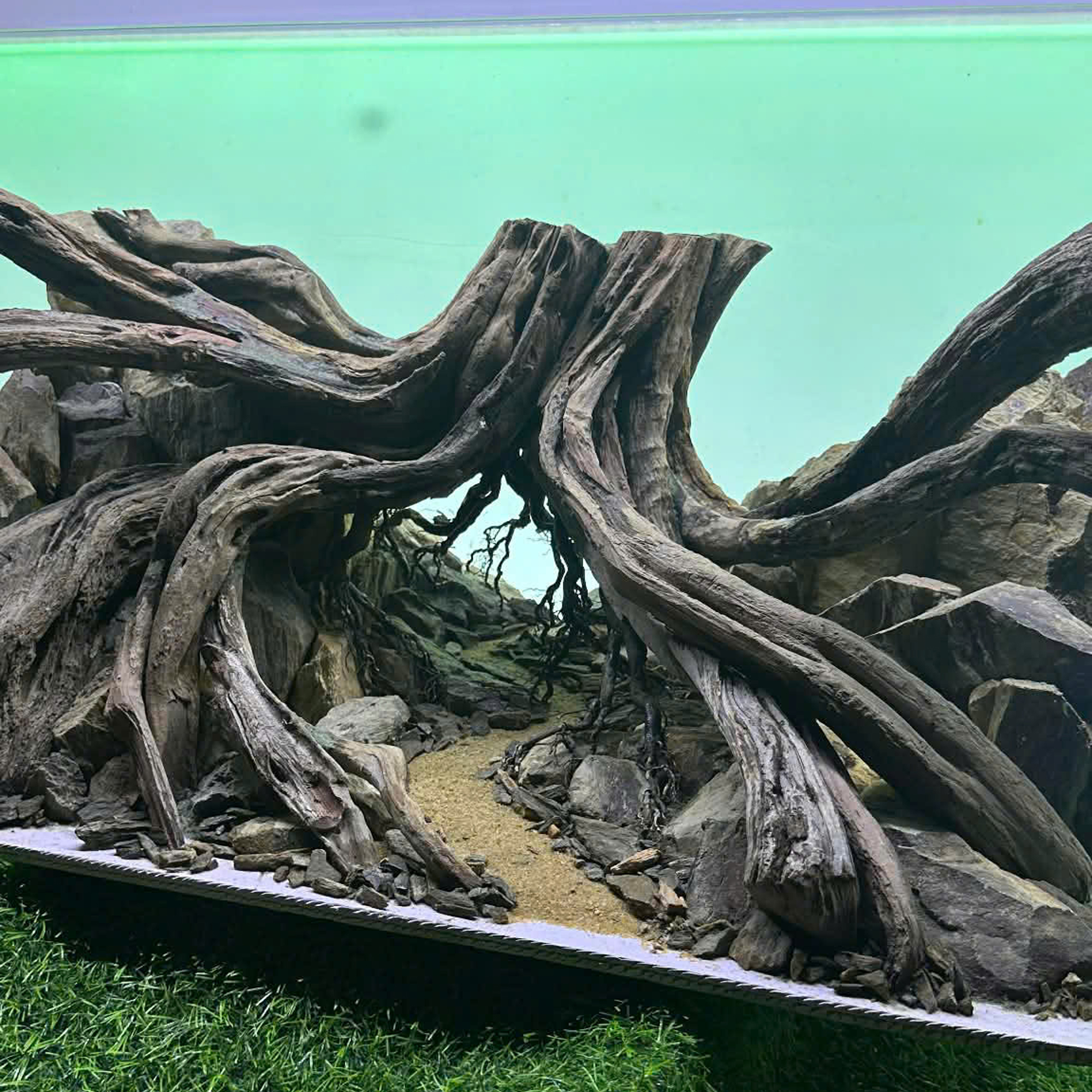 Forest Hardscape Aquarium, Aquarium decoration - Image 8