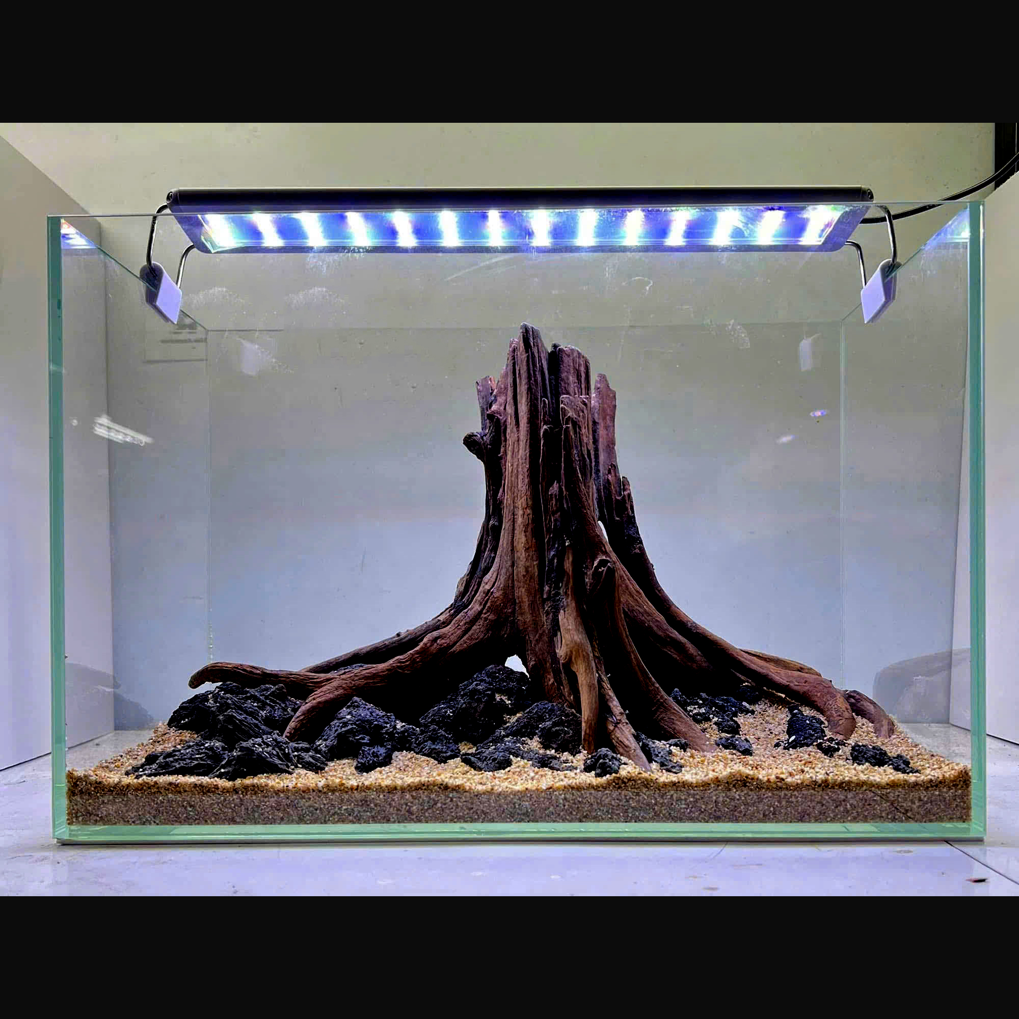 Nature Hardscape tree trunk Aquarium,Terrarium - Image 6
