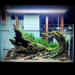 Hardscape aquarium, Terrarium decoration,Vivarium decoration