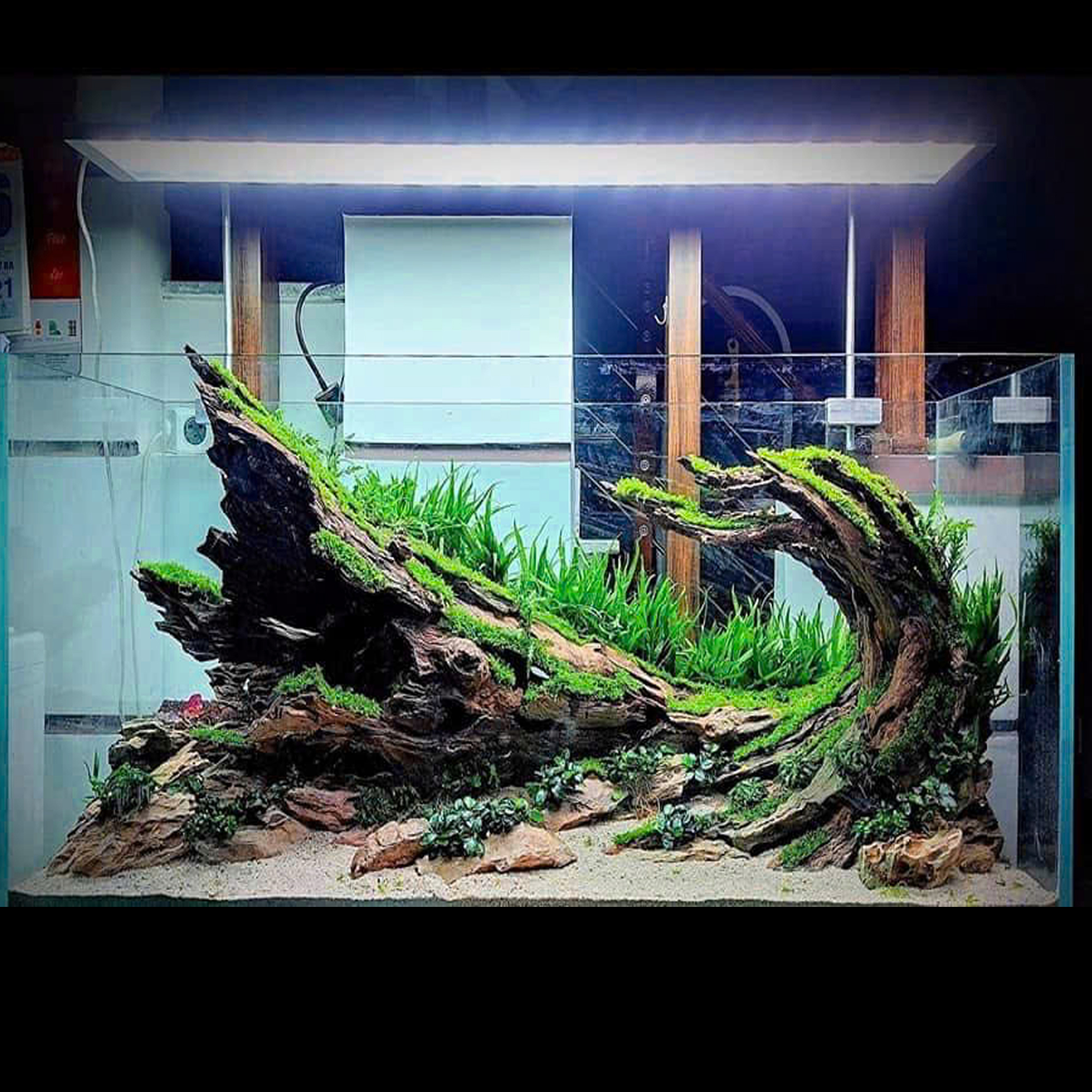Hardscape aquarium, Terrarium decoration,Vivarium decoration