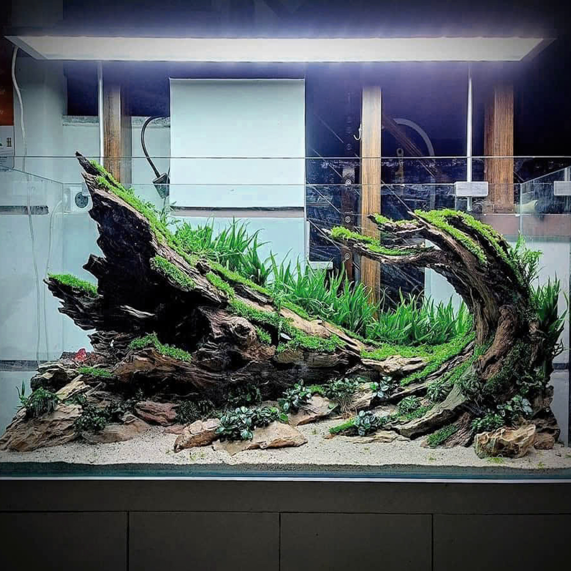aquarium decor