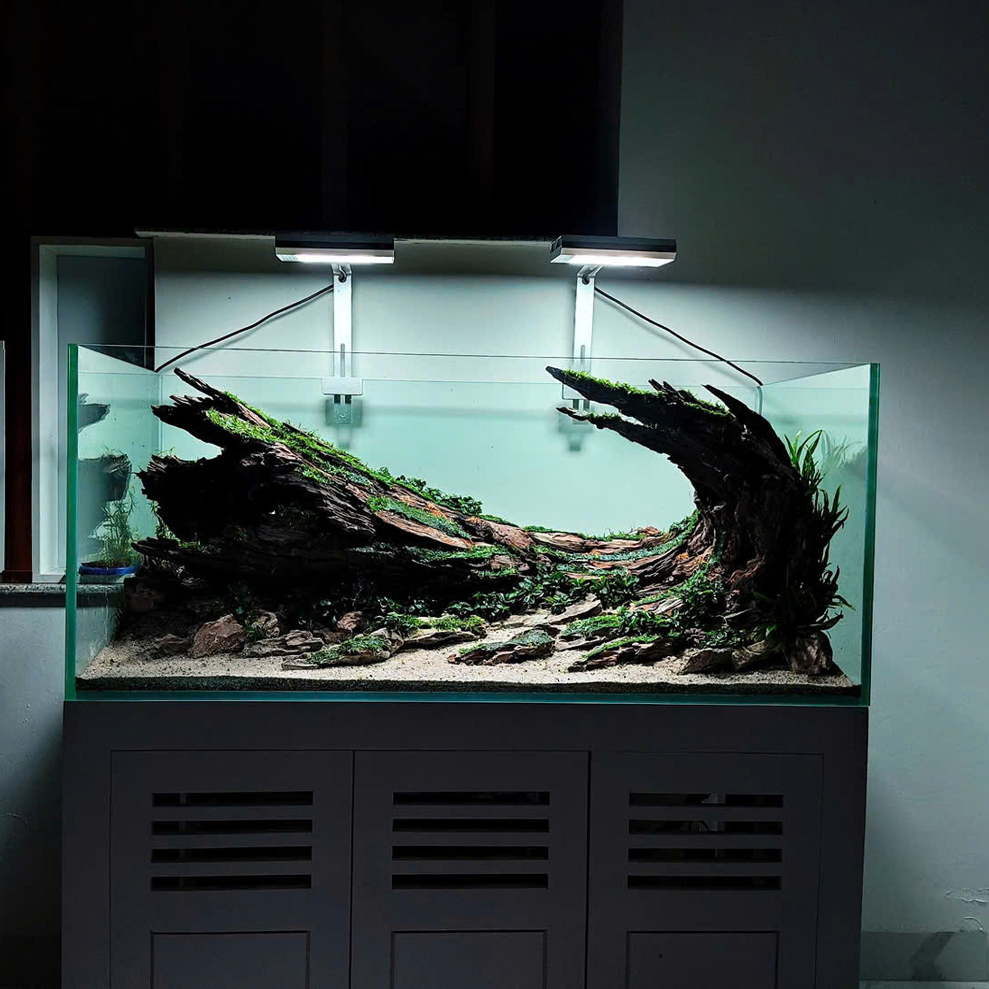 Hardscape aquarium, Terrarium decoration,Vivarium decoration - Image 2