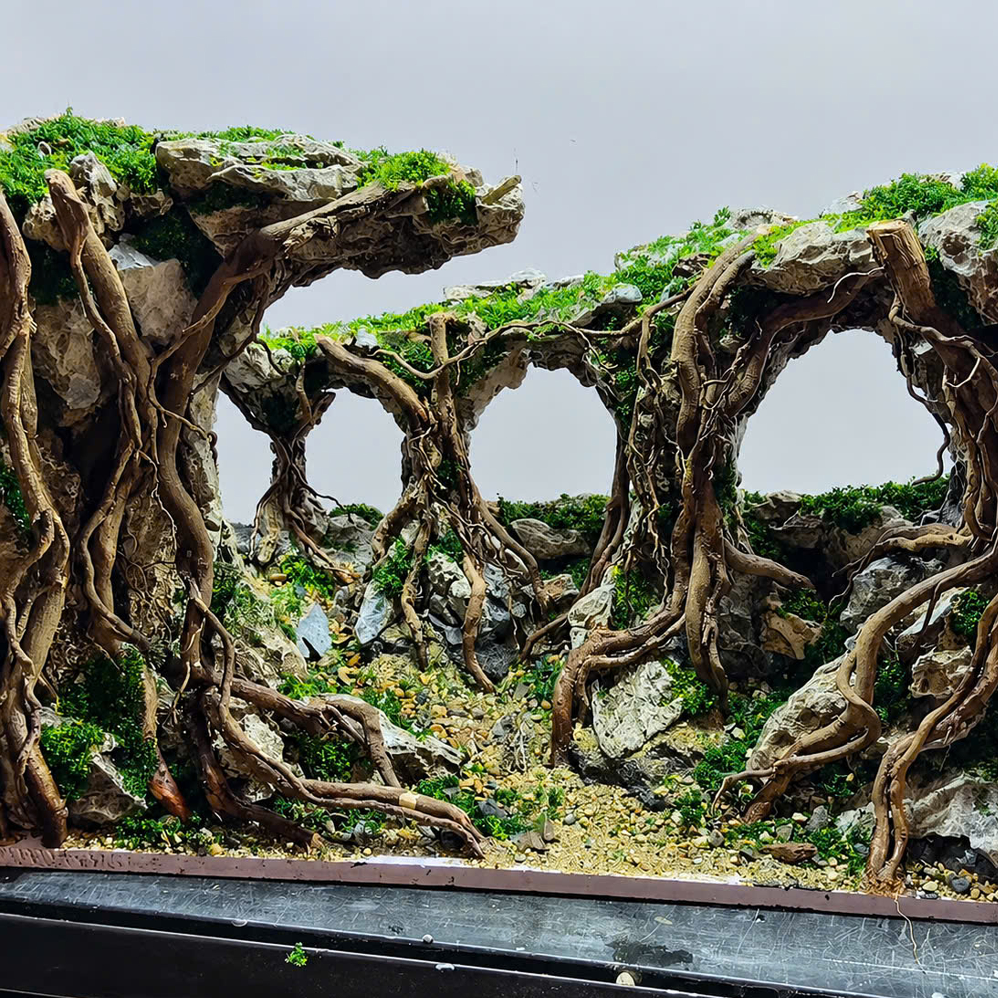 aquarium decor