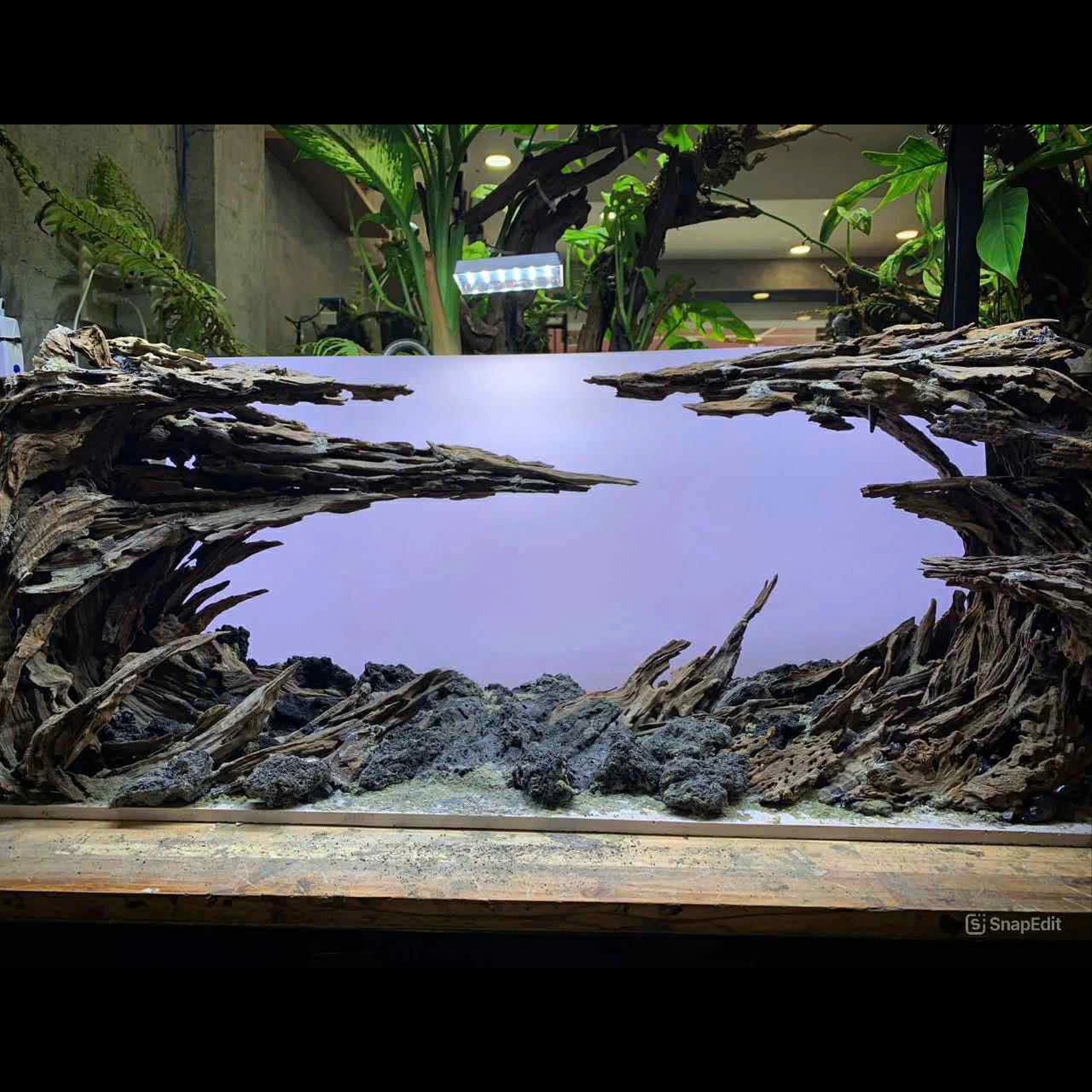 Aquarium decor,Aquascaping,Jungle aquascape - Image 7