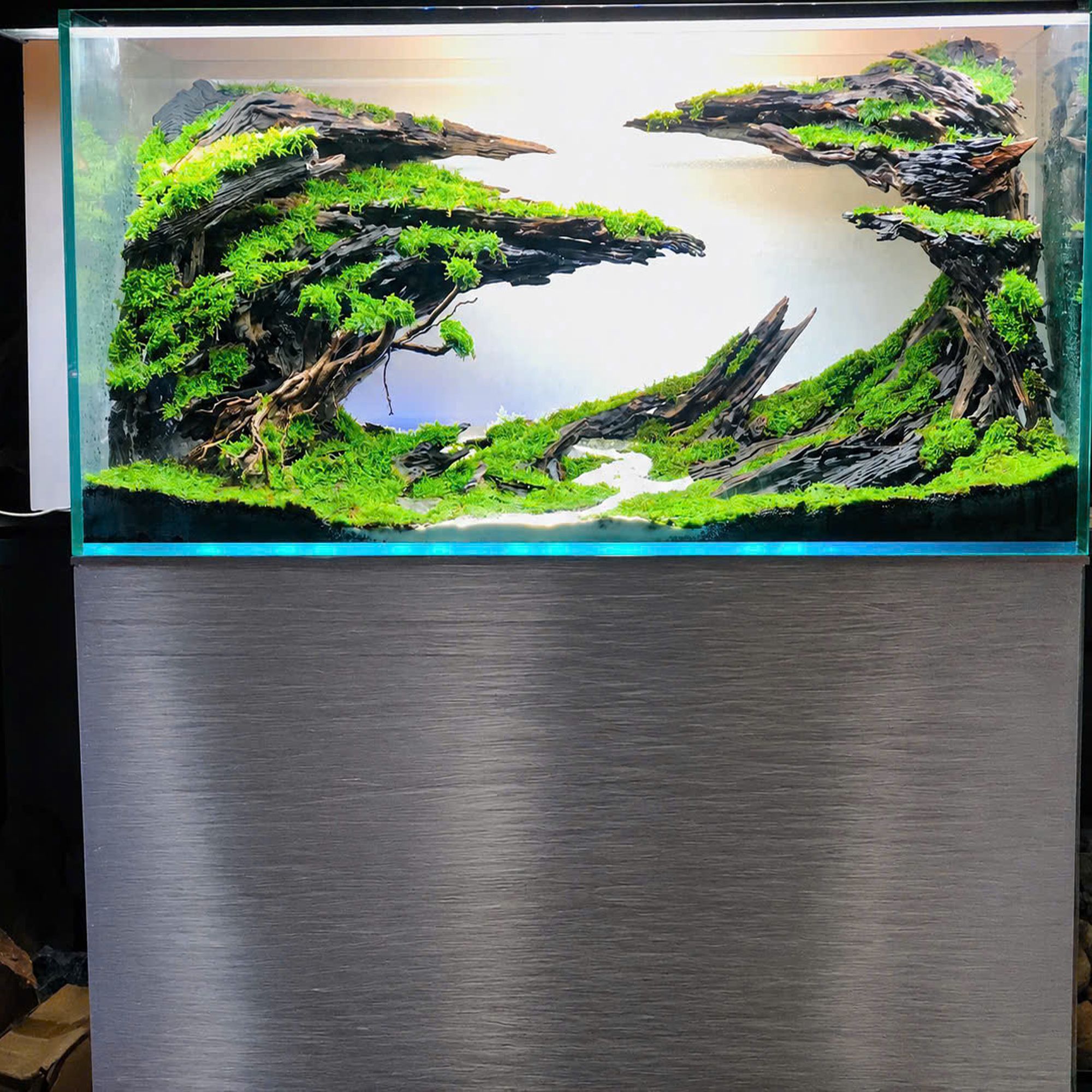 Aquarium decor,Aquascaping,Jungle aquascape - Image 8