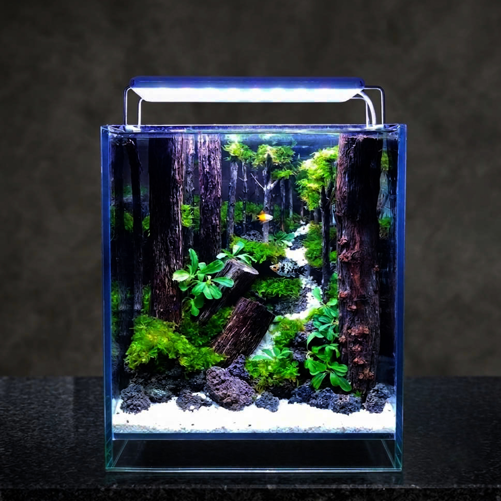 jungle hardscape