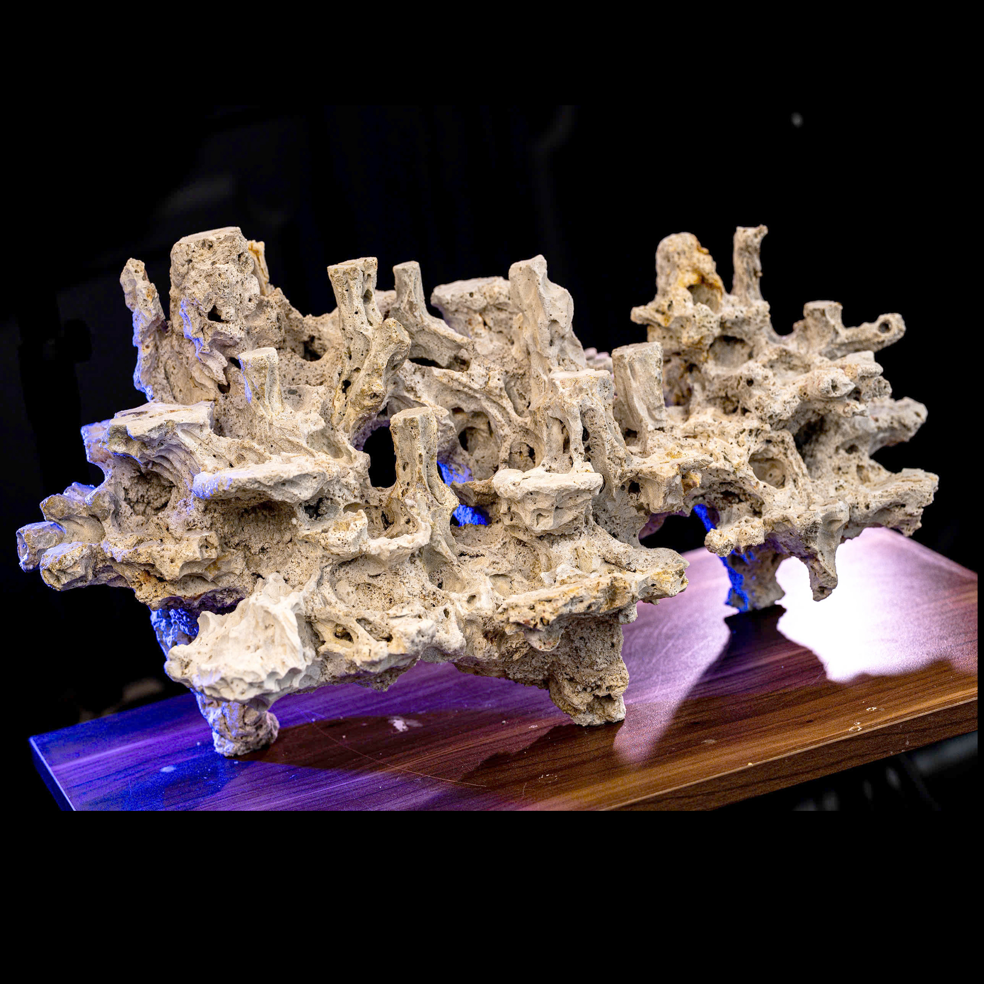 Custom Reef Tank Decor | Handmade Coral Rock Layouts - Image 8